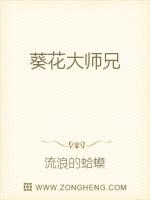 Bìa truyện Quỳ Hoa Đại Sư Huynh (葵花大师兄)