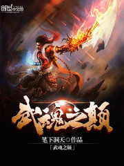 Bìa truyện Vũ Hồn Chi Điên (武魂之颠)