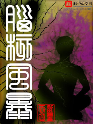 Bìa truyện Não Hạch Phong Bạo (脑核风暴)
