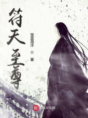 Bìa truyện Phù Thiên Chí Tôn (符天至尊)