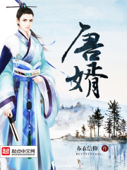 Bìa truyện Đường Tế (唐婿)