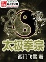 Bìa truyện Thái Cực Quyền Tông (太极拳宗)