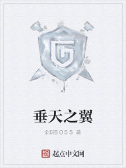 Bìa truyện Thùy Thiên Chi Dực (垂天之翼)
