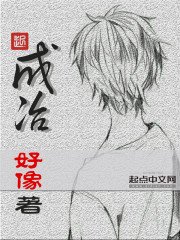 Bìa truyện Thành Dã (成冶)