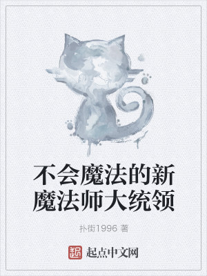 Bìa truyện Bất Hội Ma Pháp Đích Tân Ma Pháp Sư Đại Thống Lĩnh (不会魔法的新魔法师大统领)