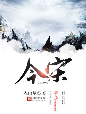 Bìa truyện Kim Tống (今宋)