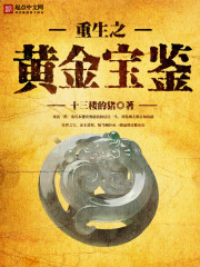 Bìa truyện Trọng Sinh Chi Hoàng Kim Bảo Giám (重生之黄金宝鉴)