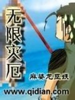 Bìa truyện Vô Hạn Tai Ách (无限灾厄)