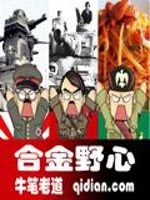 Bìa truyện Hợp Kim Dã Tâm (合金野心)
