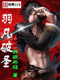 Bìa truyện Vũ Phàm Phá Thánh (羽凡破圣)
