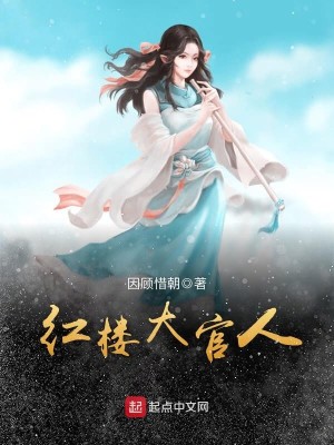 Bìa truyện Hồng Lâu Đại Quan Nhân (红楼大官人)