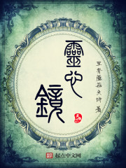 Bìa truyện Linh Tâm Kính (灵心镜)