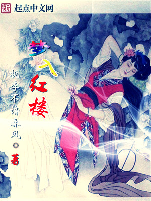 Bìa truyện Mộng Nhập Hồng Lâu (梦入红楼)