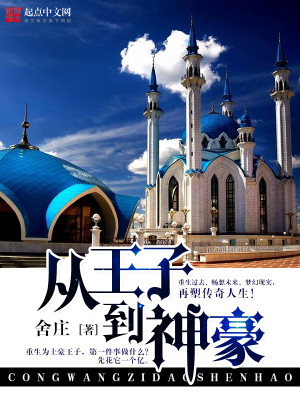 Bìa truyện Tòng Vương Tử Đáo Thần Hào (从王子到神豪)