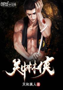 Bìa truyện Quan Trung Lâm Hiệp (关中林侠)