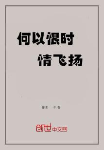 Bìa truyện Hà Dĩ Hận Thời Tình Phi Dương (何以恨时情飞扬)