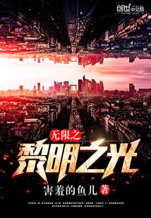 Bìa truyện Vô Hạn Chi Lê Minh Chi Quang (无限之黎明之光)