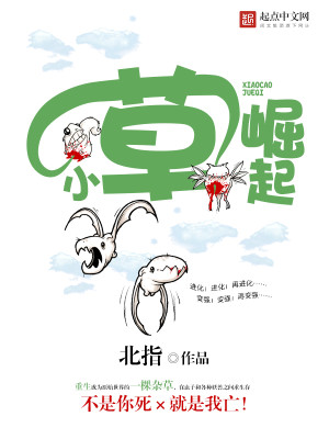 Bìa truyện Tiểu Thảo Quật Khởi (小草崛起)