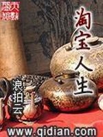 Bìa truyện Đào Bảo Nhân Sinh (淘宝人生)