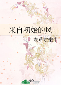 Bìa truyện Lai Tự Sơ Thủy Đích Phong (来自初始的风)