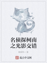 Bìa truyện Danh Trinh Thám Kha Nam Chi Quang Ảnh Giao Thác (名侦探柯南之光影交错)