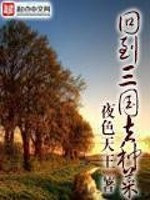 Bìa truyện Hồi Đáo Tam Quốc Khứ Chủng Thái (回到三国去种菜)