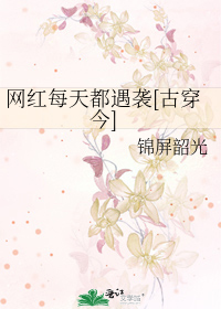 Bìa truyện Võng Hồng Mỗi Thiên Đô Ngộ Tập Cổ Xuyên Kim (网红每天都遇袭[古穿今])