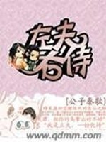 Bìa truyện Tả Phu Hữu Thị (左夫右侍)