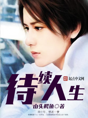 Bìa truyện Đãi Tự Nhân Sinh (待续人生)