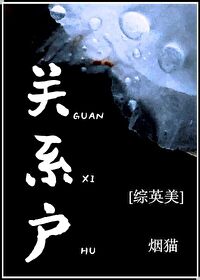 Bìa truyện Tống Anh Mĩ Quan Hệ Hộ ([综英美]关系户)
