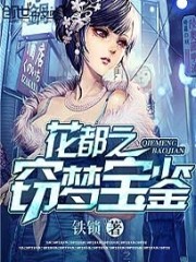 Bìa truyện Hoa Đô Chi Thiết Mộng Bảo Giám (花都之窃梦宝鉴)