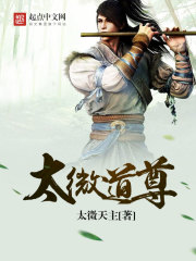 Bìa truyện Thái Vi Đạo Tôn (太微道尊)