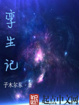Bìa truyện Loan Sinh Kí (孪生记)
