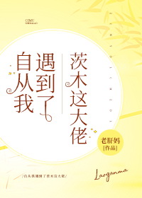 Bìa truyện Tự Tòng Ngã Ngộ Đáo Liễu Tì Mộc Giá Đại Lão (自从我遇到了茨木这大佬)