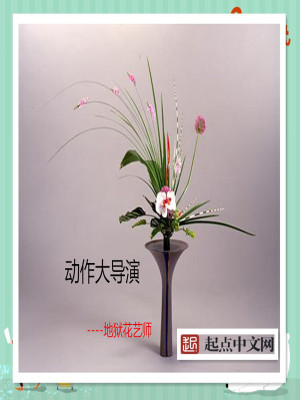 Bìa truyện Động Tác Đại Đạo Diễn (动作大导演)
