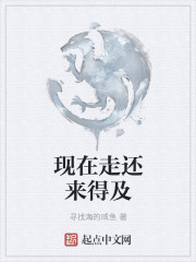 Bìa truyện Hiện Tại Tẩu Hoàn Lai Đắc Cập (现在走还来得及)