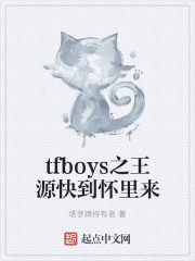 Bìa truyện Tfboys Chi Vương Nguyên Khoái Đáo Hoài Lí Lai (tfboys之王源快到怀里来)