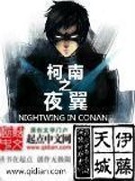Bìa truyện Kha Nam Chi Dạ Dực (柯南之夜翼)