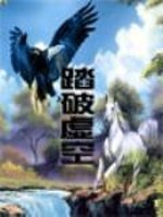 Bìa truyện Đạp Phá Hư Không (踏破虚空)