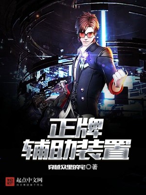 Bìa truyện Chính Bài Phụ Trợ Trang Trí (正牌辅助装置)