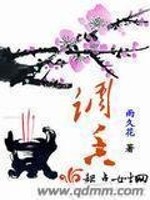 Bìa truyện Điều Hương (调香)