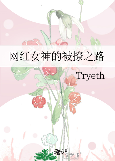 Bìa truyện Võng Hồng Nữ Thần Đích Bị Liêu Chi Lộ (网红女神的被撩之路)