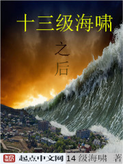 Bìa truyện 13 Cấp Hải Khiếu Chi Hậu (13级海啸之后)