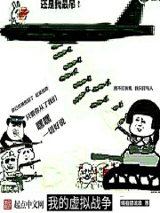 Bìa truyện Ngã Đích Hư Nghĩ Chiến Tranh (我的虚拟战争)