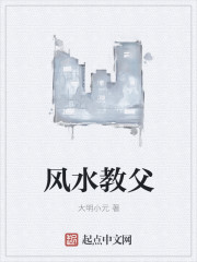 Bìa truyện Phong Thủy Giáo Phụ (风水教父)