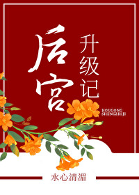 Bìa truyện Hậu Cung Thăng Cấp Kí (后宫升级记)