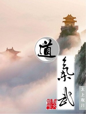 Bìa truyện Đạo Khí Vũ (道气武)