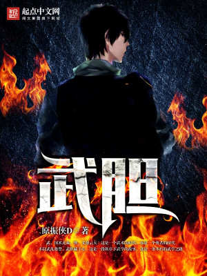 Bìa truyện Vũ Đảm (武胆)