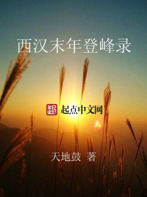 Bìa truyện Tây Hán Mạt Niên Đăng Phong Lục (西汉末年登峰录)