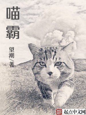 Bìa truyện Miêu Bá (喵霸)